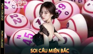 Soi cầu miền Bắc